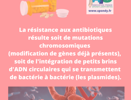 Journée Européenne d’information sur les Antibiotiques