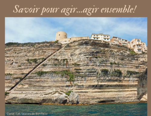 Edito Spondy Mag juin 2024