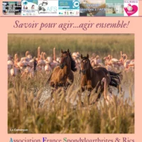 093 "Spondy Mag Infos 2026" (3 revues / an)