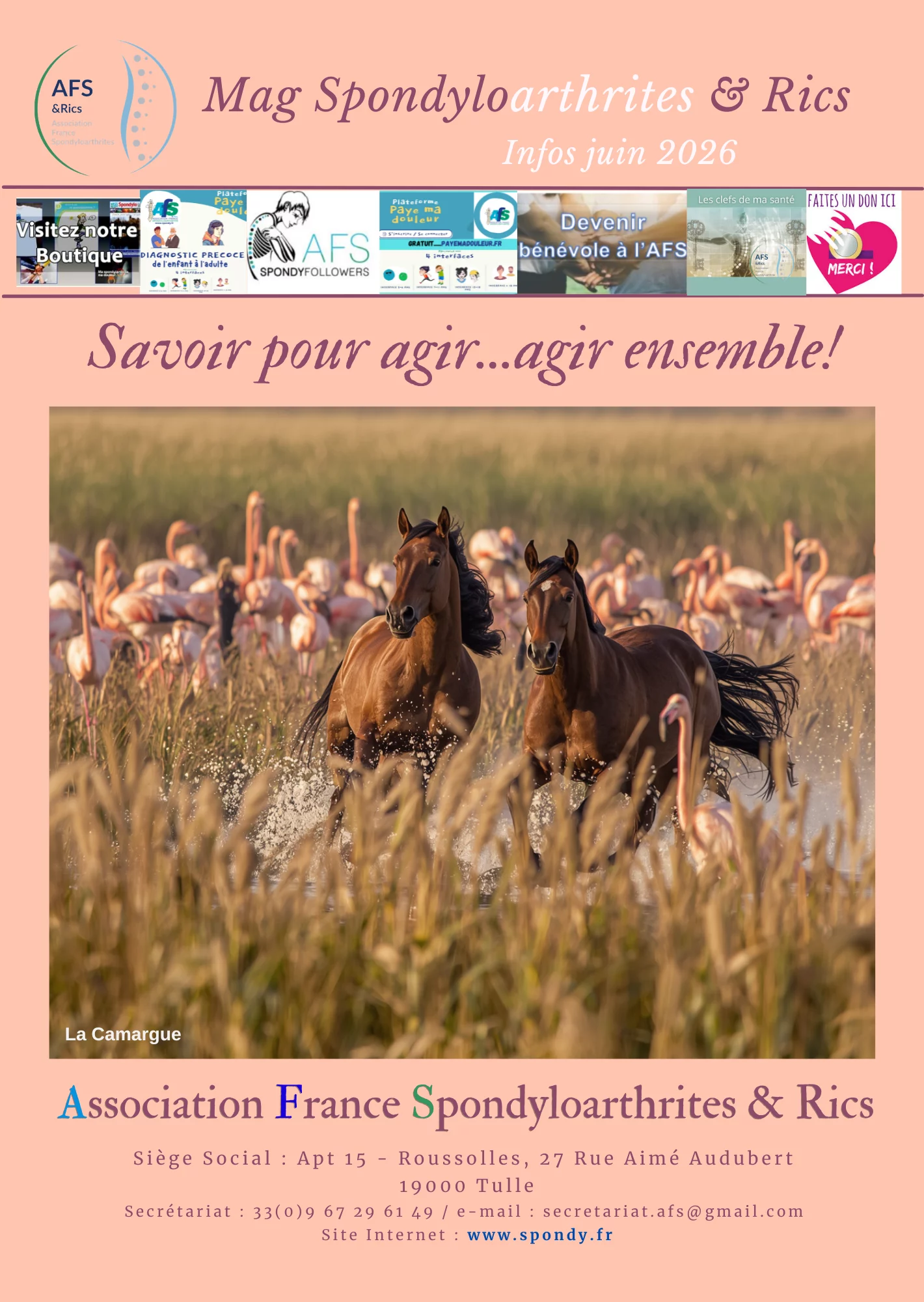 093 "Spondy Mag Infos 2026" (3 revues / an)